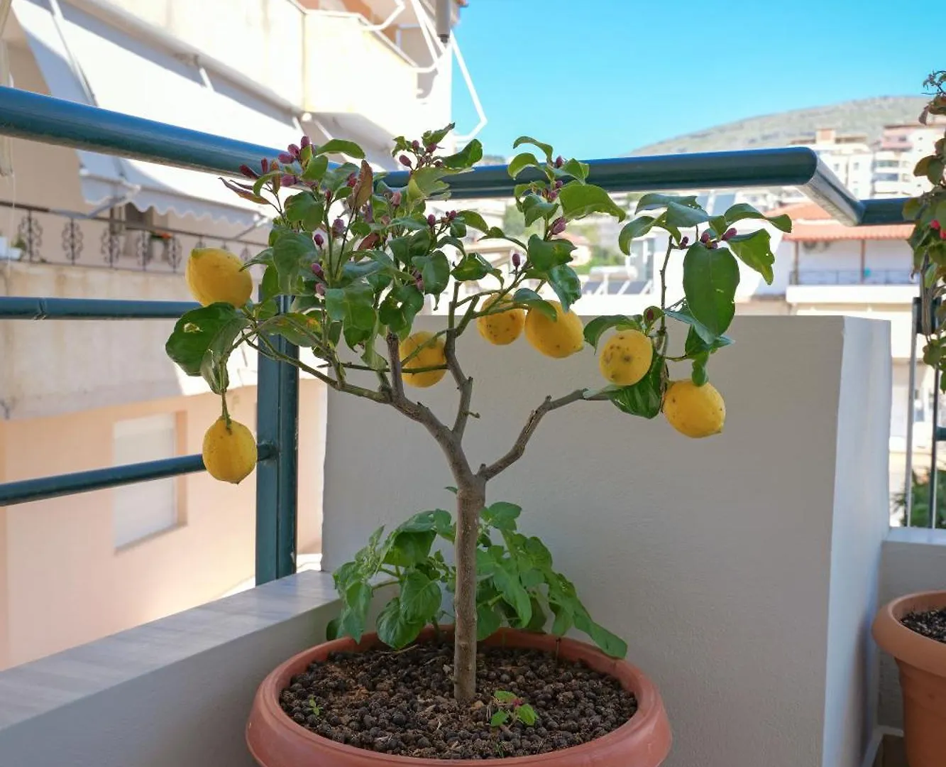Emiljano Apartment Sarande